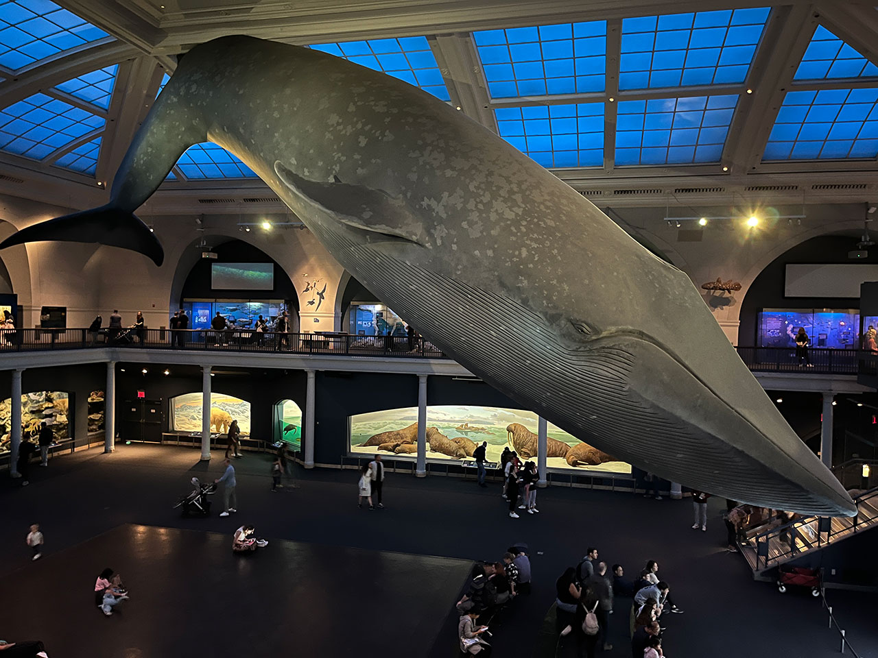 Explorer les trésors culturels de New York avec le New York Pass